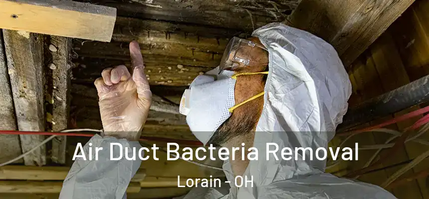 Air Duct Bacteria Removal Lorain - OH