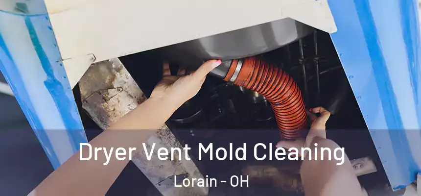 Dryer Vent Mold Cleaning Lorain - OH