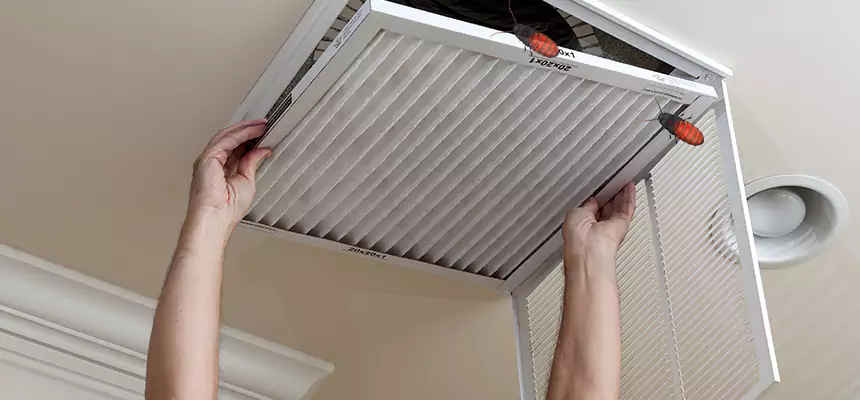 Preventive Cockroach-Proofing for Ducts in Lorain