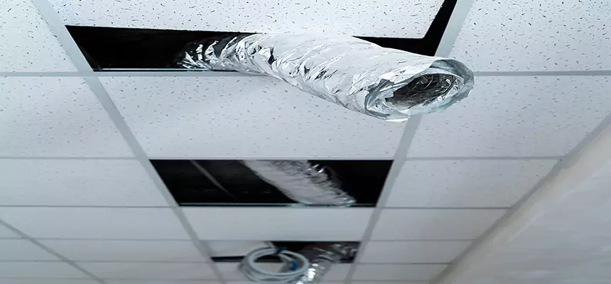 Affordable HVAC Sanitizing After Pest Removal in Lorain