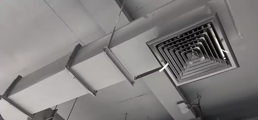 Our Pest Removal From Ducts Services in Lorain, OH