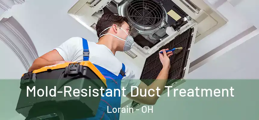  Mold-Resistant Duct Treatment Lorain - OH