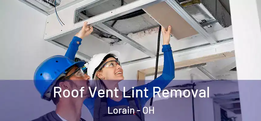 Roof Vent Lint Removal Lorain - OH