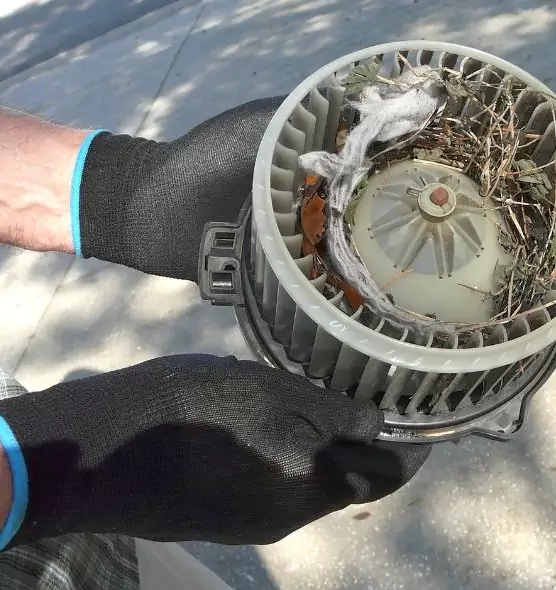 About Air Duct Mice Removal in Lorain, OH