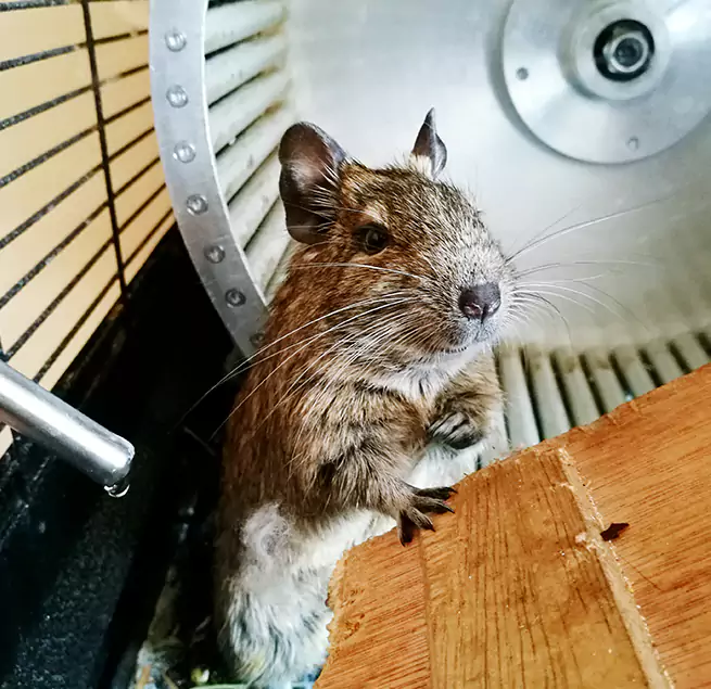 Why Homeowners & Businesses Trust Us Lorain, OH?