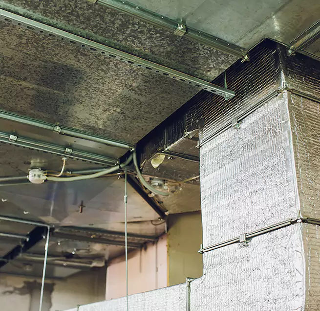 Why Homeowners & Businesses Trust Us in Lorain, OH?